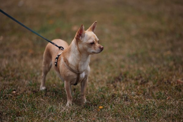 How are UK arts and culture evolving post-pandemic?